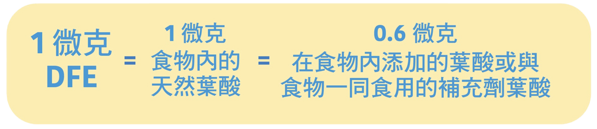 維他命B9－葉酸